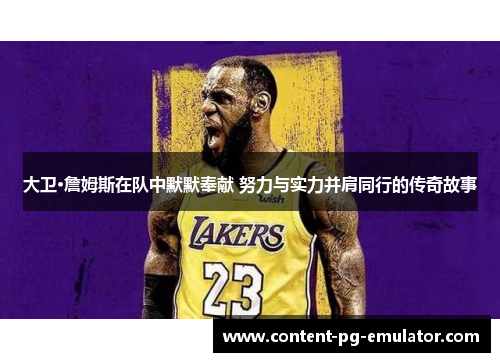 大卫·詹姆斯在队中默默奉献 努力与实力并肩同行的传奇故事