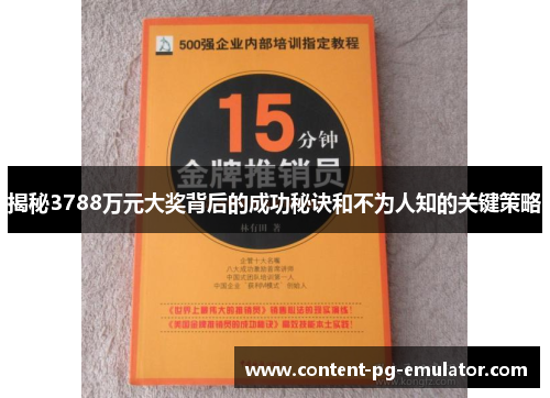 揭秘3788万元大奖背后的成功秘诀和不为人知的关键策略