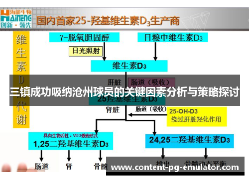 三镇成功吸纳沧州球员的关键因素分析与策略探讨