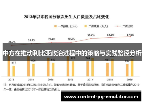 中方在推动利比亚政治进程中的策略与实践路径分析