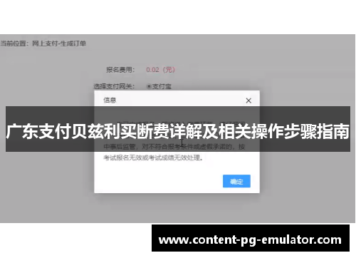 广东支付贝兹利买断费详解及相关操作步骤指南