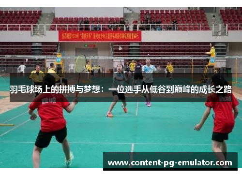 羽毛球场上的拼搏与梦想：一位选手从低谷到巅峰的成长之路
