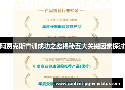 阿贾克斯青训成功之路揭秘五大关键因素探讨